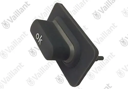 Vaillant-Taster mit der Aufschrift "OK" in Schwarz, montierbar, mit einer rechteckigen Basis und einem zentralen Druckknopf.